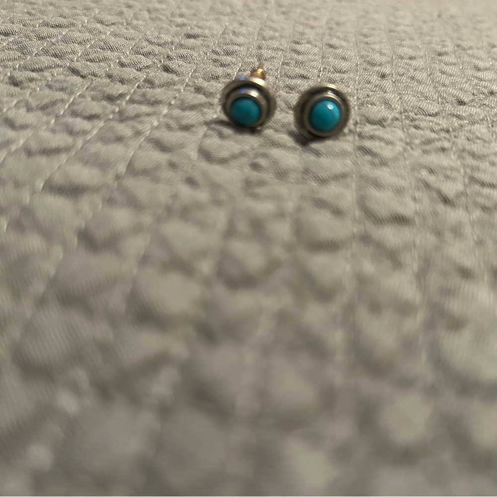 Elegant Turquoise and Silver Earrings